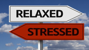 2016-Logo Stress